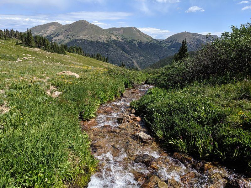 Butler Gulch, Jones Pass Area