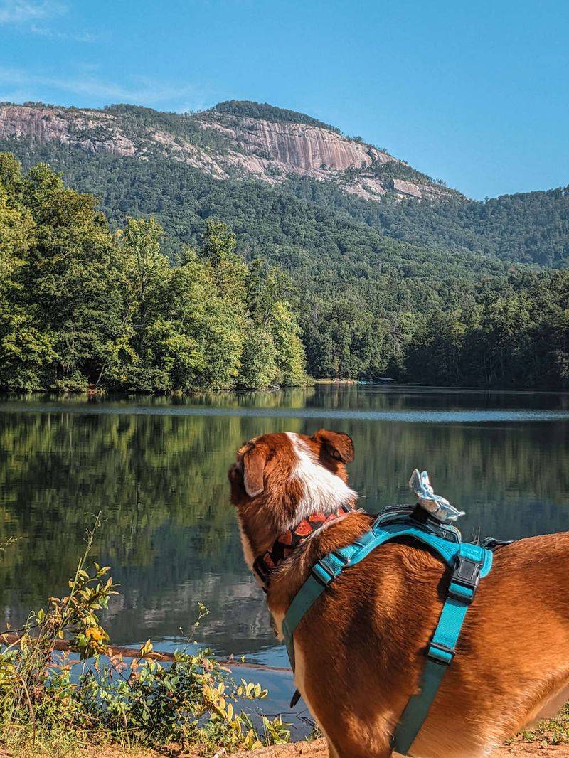 Table Rock Lake State Park Dog Area
