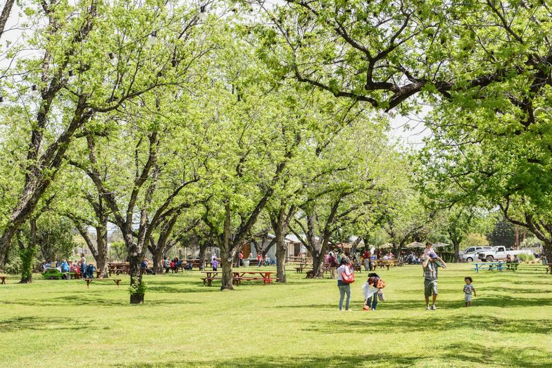 The Farm at South Mountain (Phoenix)