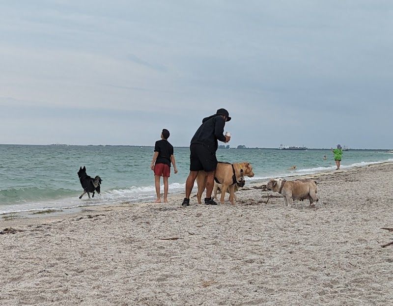 Fort De Soto Park Paw Playground - Tierra Verde