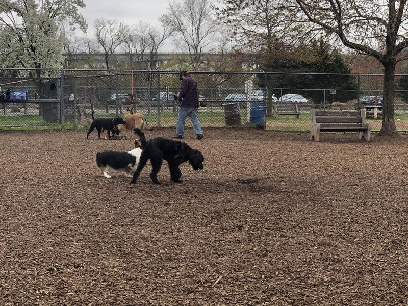 Donaldson Park Dog Run - Highland Park