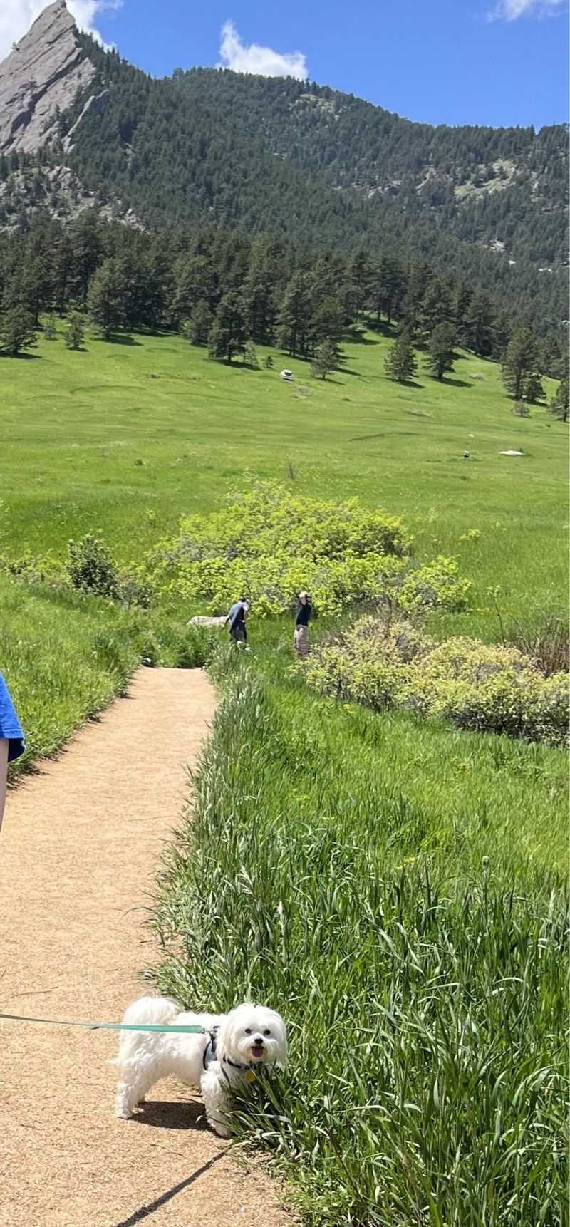 Chautauqua Trail, Boulder