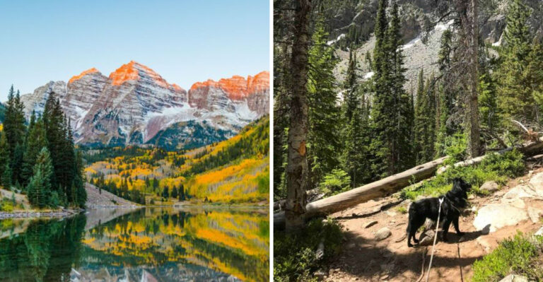 Top 8 Dog-Friendly Hiking Trails in Colorado You’ll Want to Explore