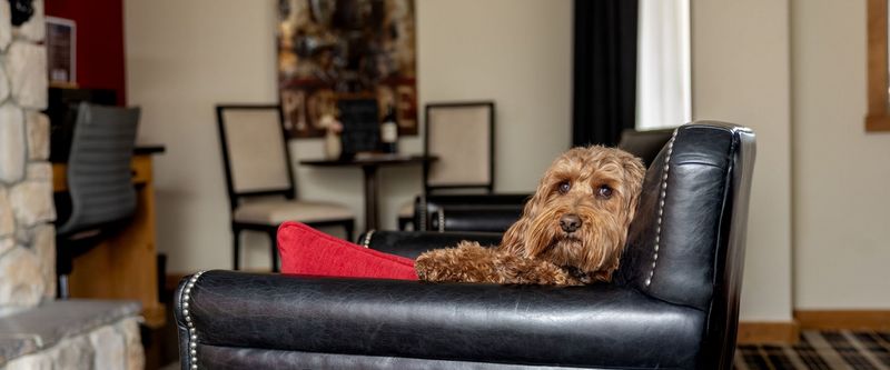 The GoodTime Hotel at Lake Tahoe - Stateline