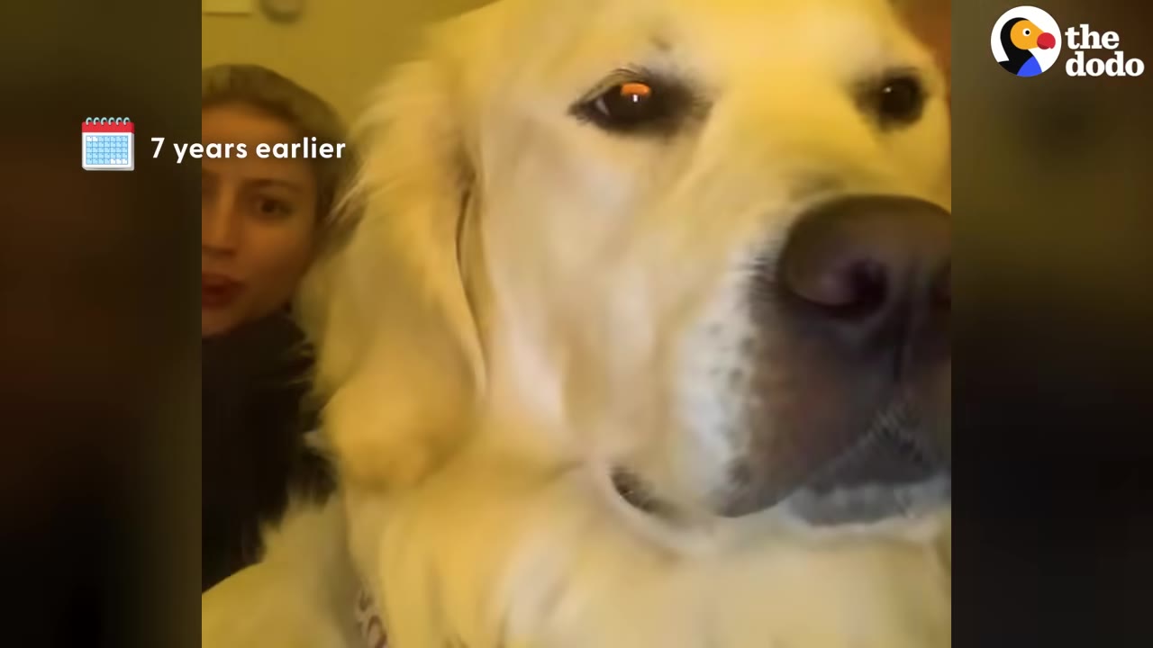 A close-up selfie of a woman and her large golden retriever, with a graphic overlay that reads '7 years earlier'.
