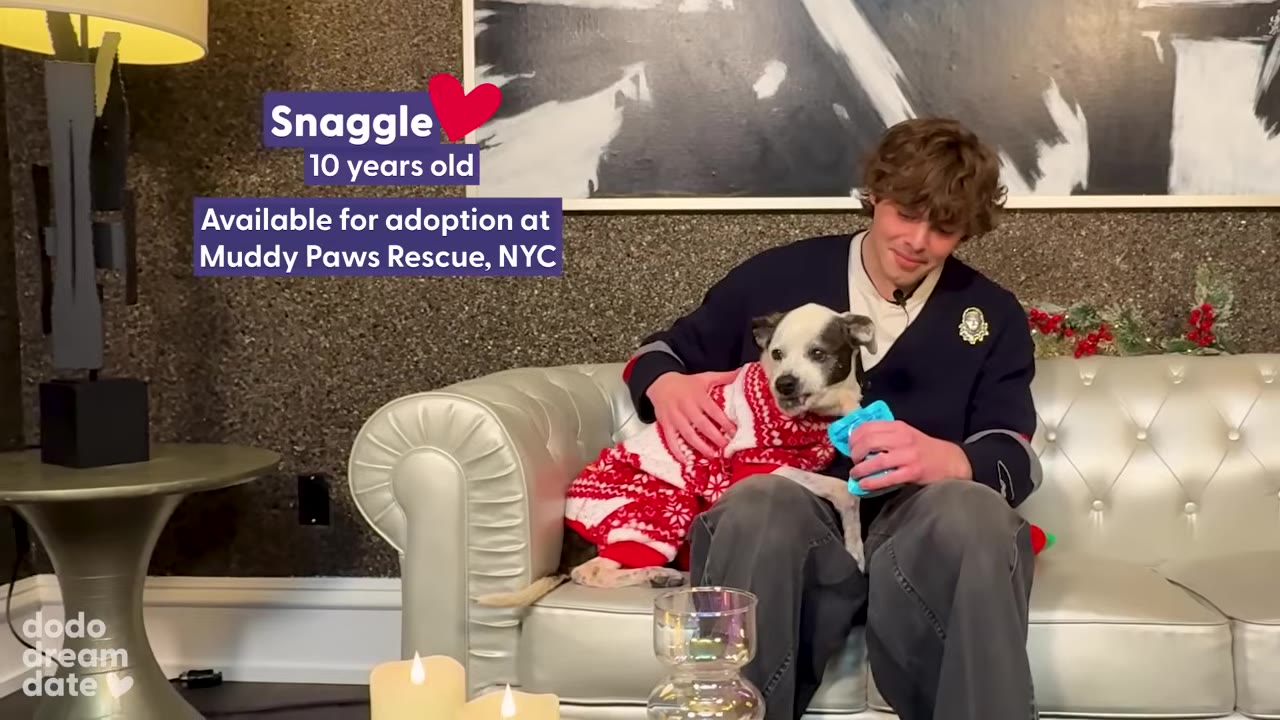 A man sitting on a silver couch holding a small black and white dog named Snaggle wearing a red and white sweater, with text overlay introducing Snaggle as a 10-year-old dog available for adoption.
