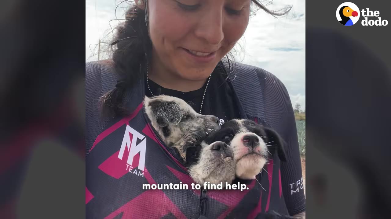 A close-up of a smiling woman wearing a cycling jersey with three small puppies tucked safely inside the zippered front.