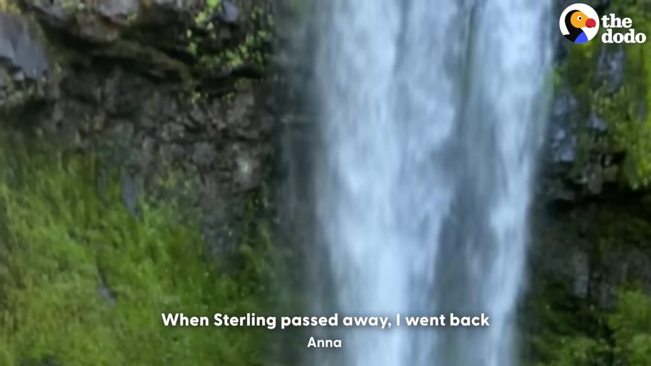 A scenic waterfall cascading down a rocky, moss-covered cliffside with text overlay reading 'When Sterling passed away, I went back'.