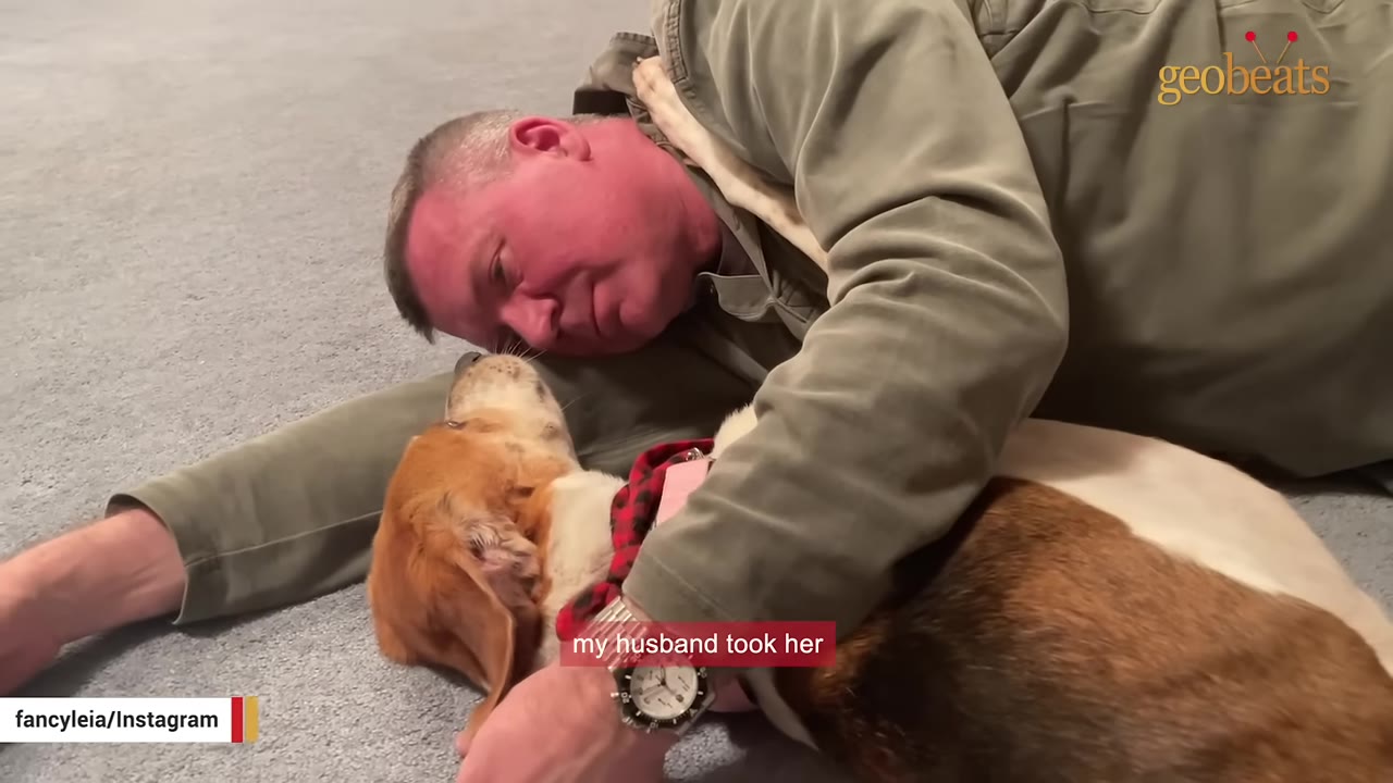A man lying on a carpeted floor, warmly hugging a brown and white beagle dog wearing a red plaid collar.
