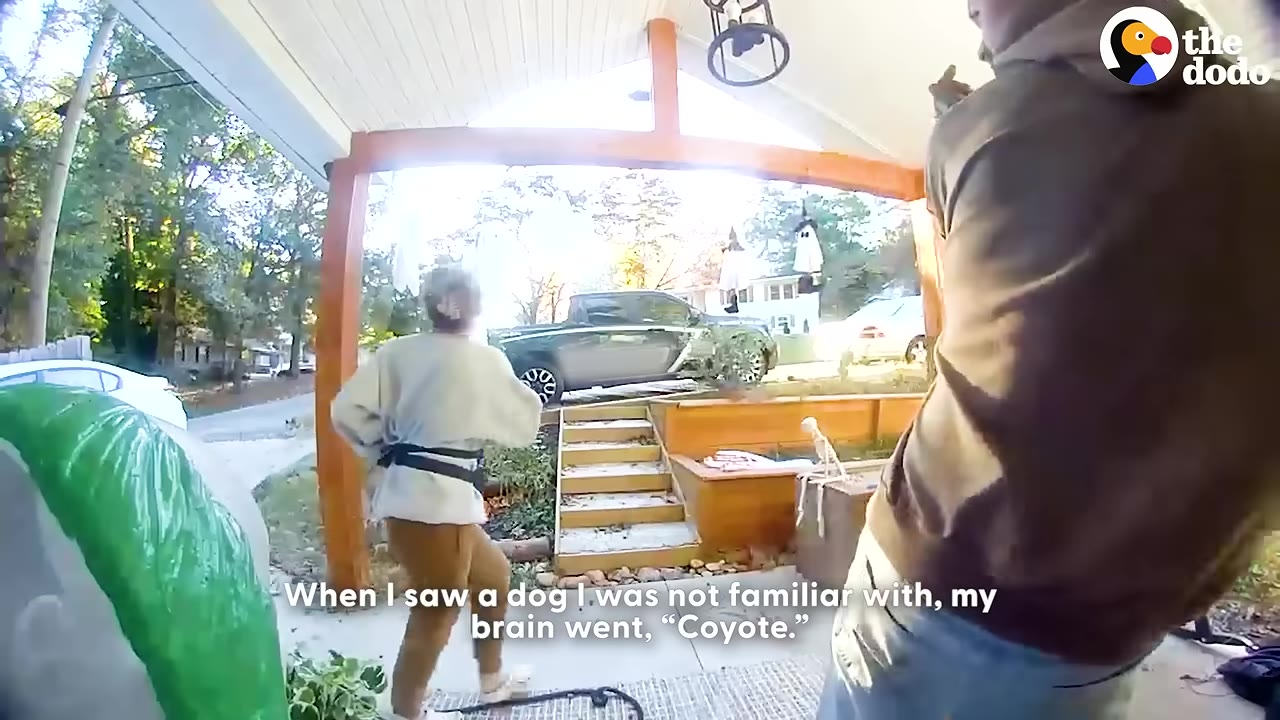 A woman on a porch reacts with concern as she spots an unfamiliar animal, with a subtitle reading, 'When I saw a dog I was not familiar with, my brain went, "Coyote."'