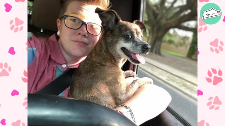 Texas Musician Was Grieving A Heavy Loss Until A Quirky Dog Started Singing Along