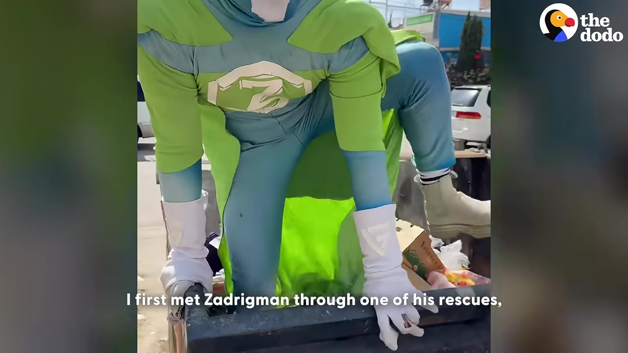 A person wearing a green and blue superhero costume with white gloves climbs out of a dumpster.