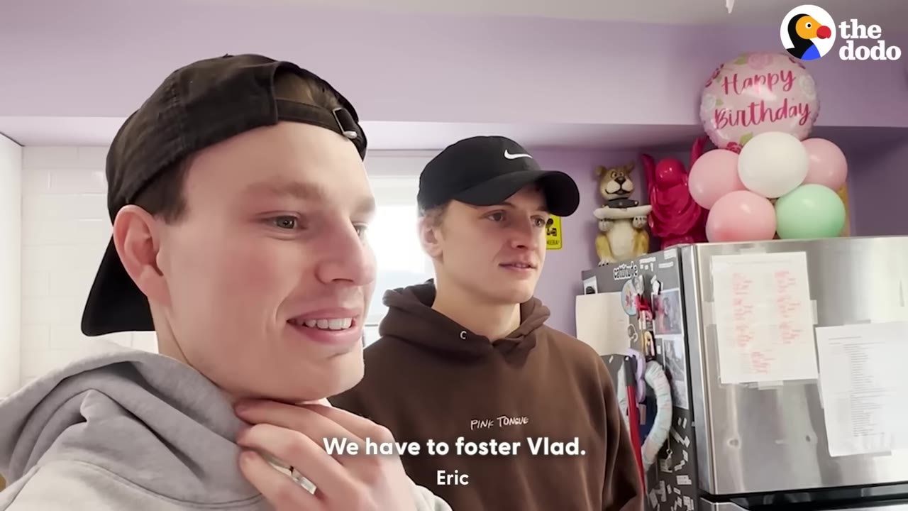 Two young men, Eric and Joey, wearing baseball caps, stand in a kitchen as Eric says, 'We have to foster Vlad.'