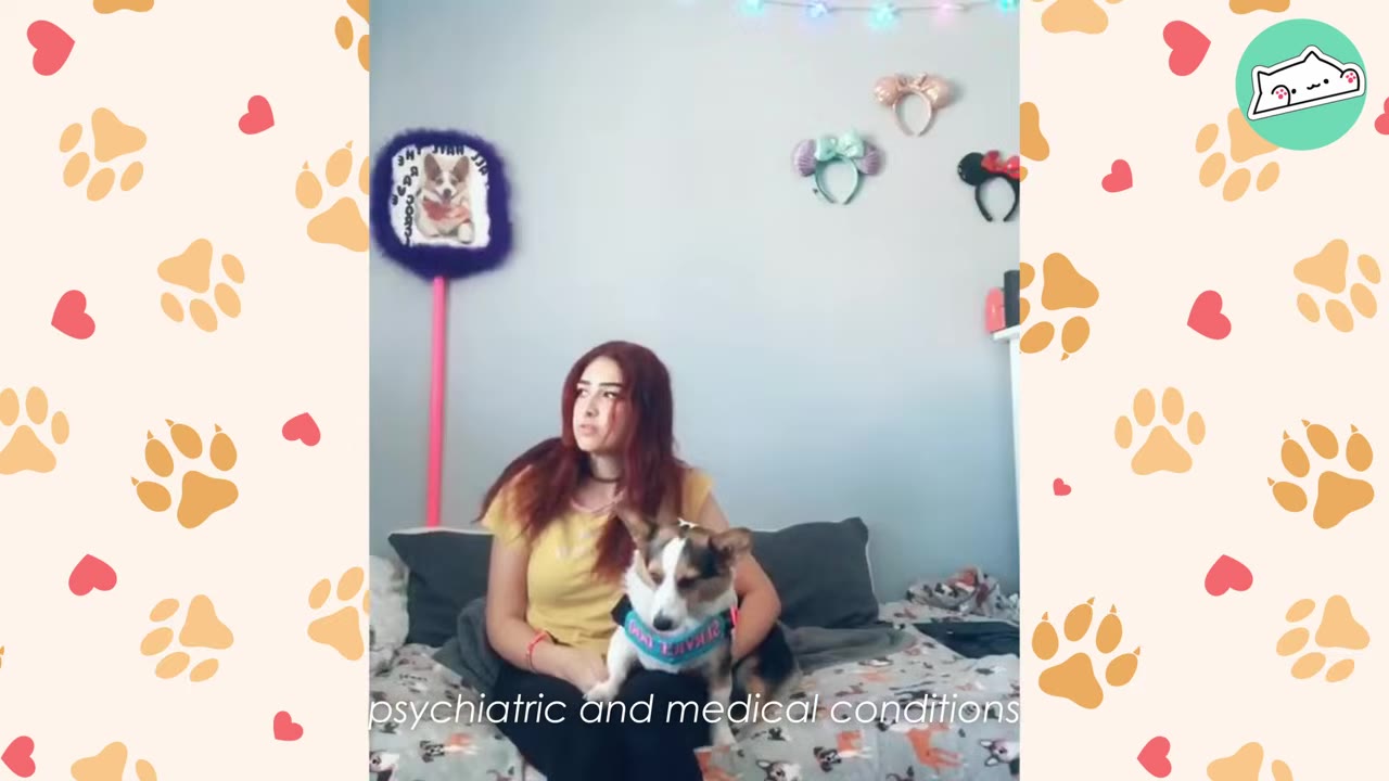 A young woman with red hair sits on a bed looking off-camera with a concerned expression, holding a small Corgi dog wearing a harness.