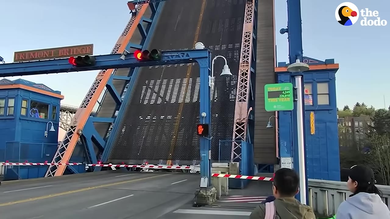 The Fremont Bridge in Seattle is raised up, with pedestrians waiting on the sidewalk.