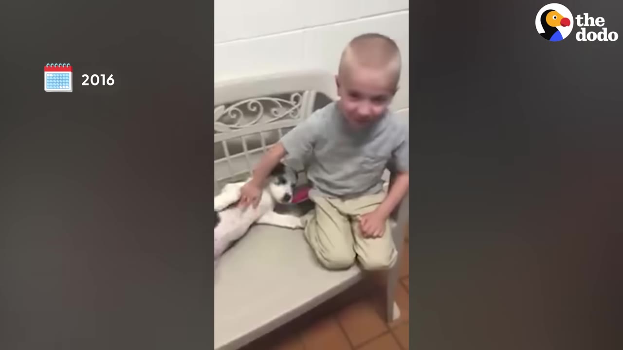 A young boy sits on a bench next to a small puppy, gently petting its belly, with a graphic indicating the year 2016.