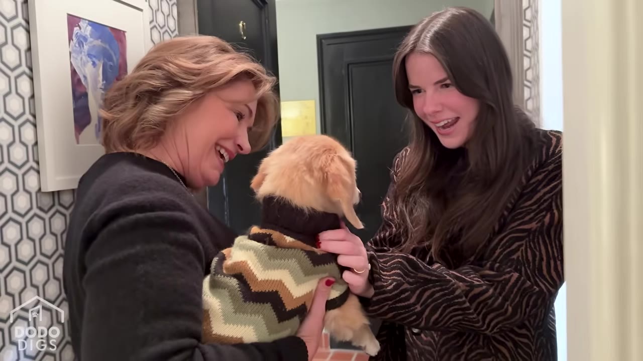 A woman in a black sweater holds a small dog wearing a patterned sweater, while another woman in a patterned coat smiles and looks at the dog in an apartment hallway.