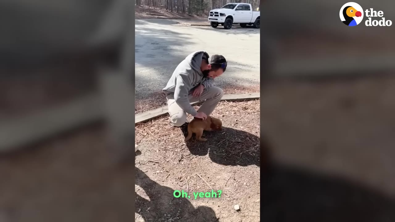 A man in a grey hoodie kneels on a dirt path to pet a small brown puppy.