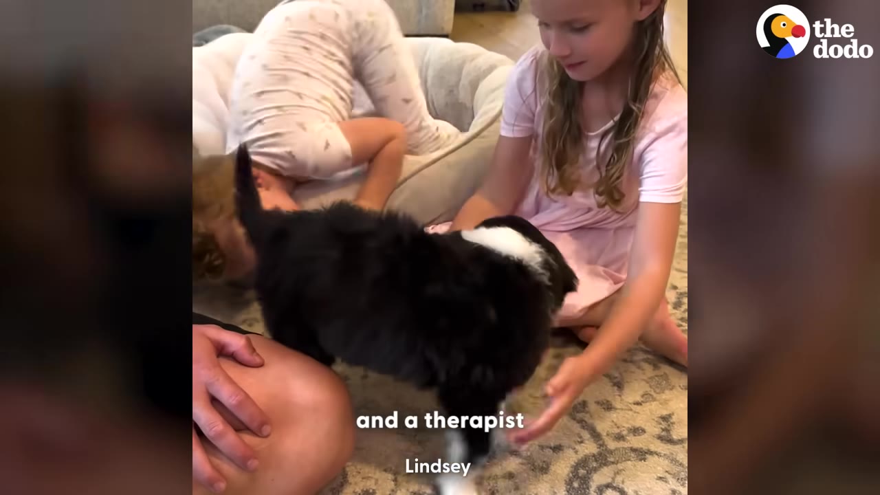 A young girl in a pink dress sits on a patterned rug next to a black and white puppy, with the text 'and a therapist' displayed on the screen.