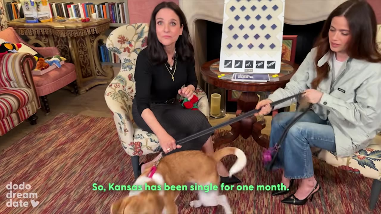 Two women sit in patterned armchairs in a living room, holding a leash attached to a brown and white dog named Kansas who is standing on a patterned rug.