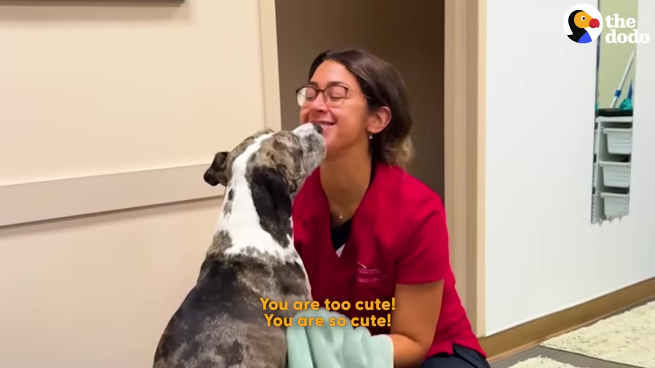 A woman wearing glasses and red scrubs smiles warmly as a brindle and white dog licks her face.
