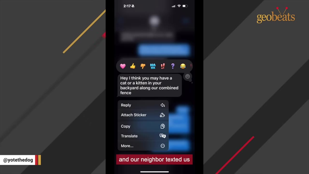 A screenshot of a text message on a smartphone screen that reads, 'Hey I think you may have a cat or a kitten in your backyard along our combined fence'.