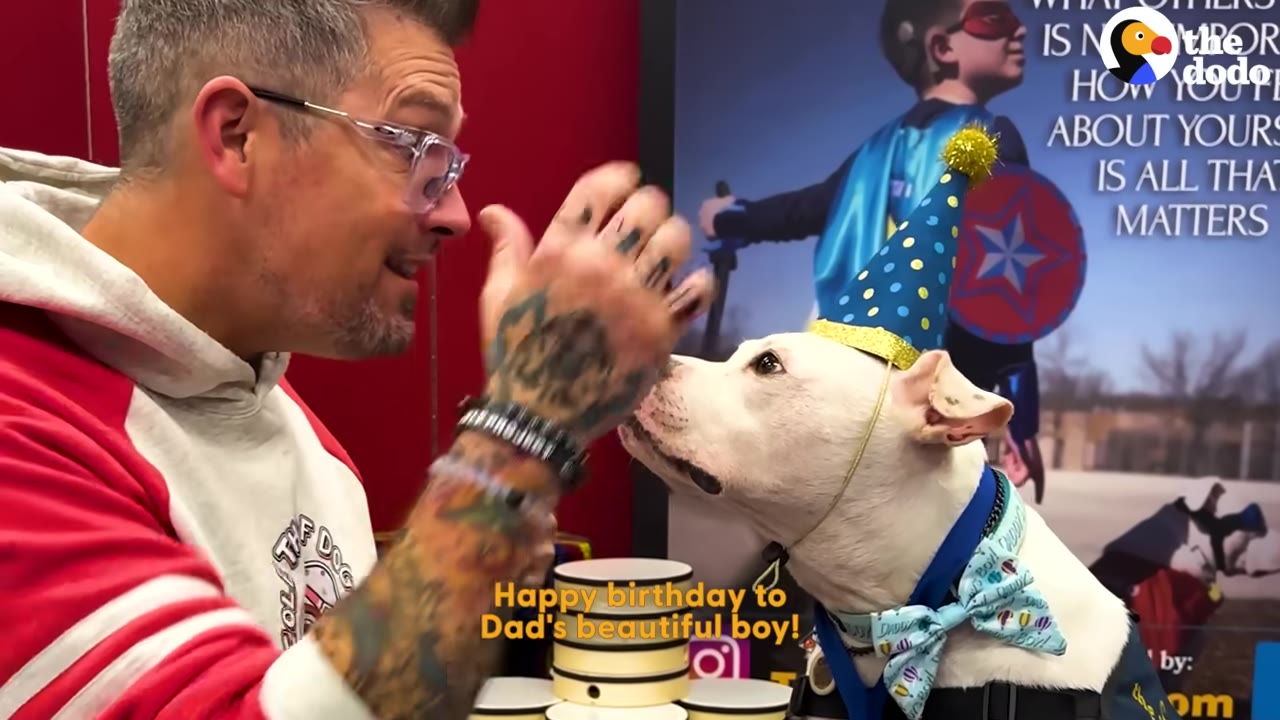 A man with glasses and tattooed arms smiles at a white dog wearing a blue and yellow birthday hat and a patterned bow tie.