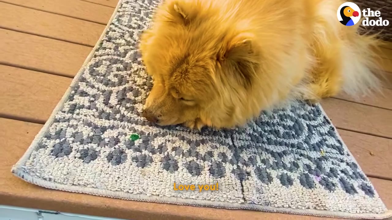 A fluffy, golden-furred dog rests peacefully on a patterned grey and white mat on a wooden deck.