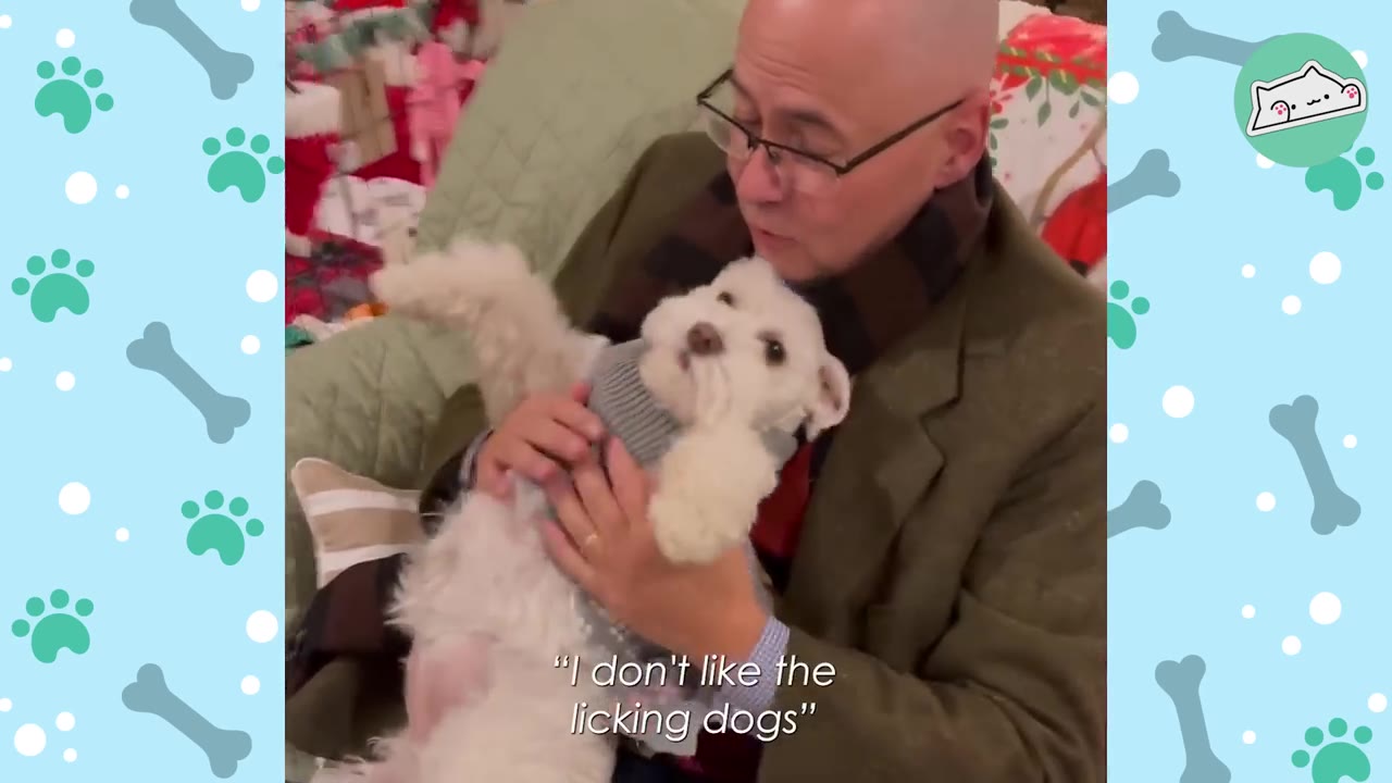 A man wearing glasses and a scarf holds a small white dog wearing a grey sweater, with the subtitle 'I don't like the licking dogs' displayed on the screen.