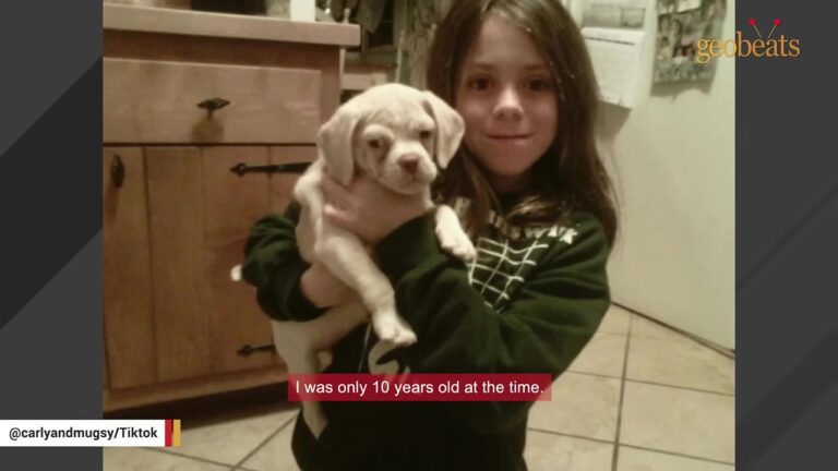New York Girl Chose The Puppy Nobody Else Took And Watched Him Become Completely Unforgettable