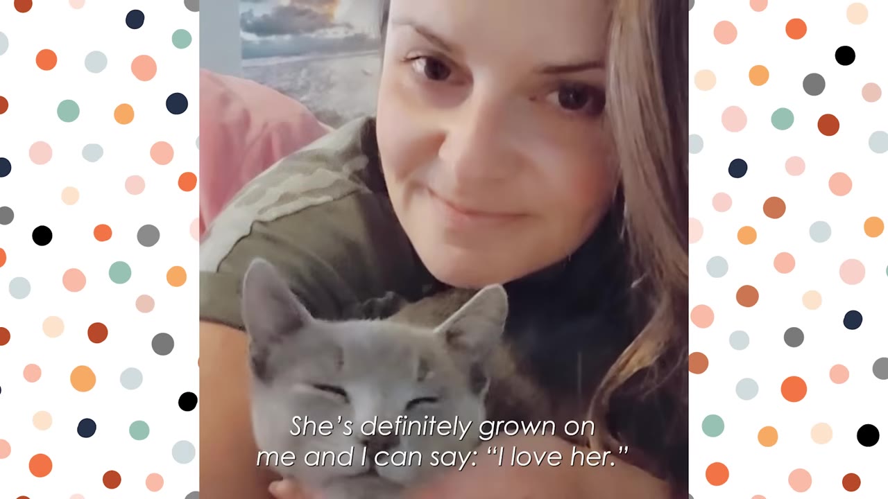 A close-up of a smiling woman holding a grey kitten close to her chest.