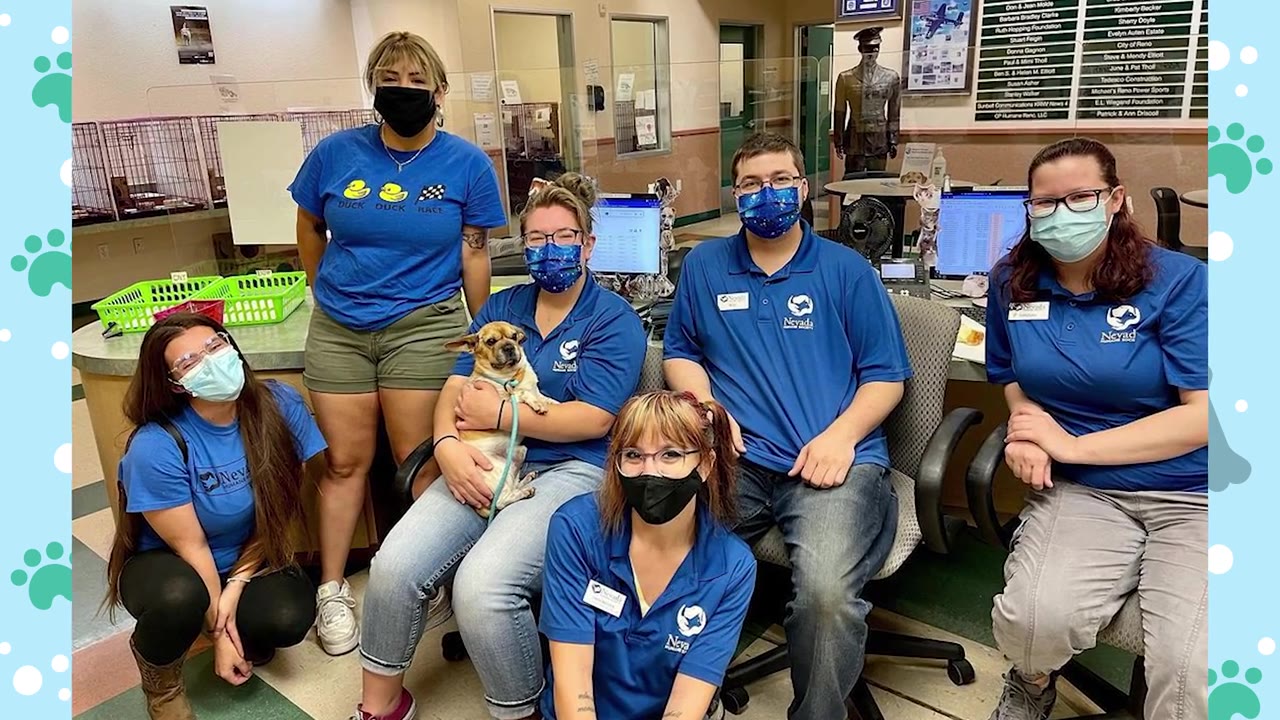 A group of six people wearing blue shirts and face masks pose together indoors, with one person holding a small brown and white dog.