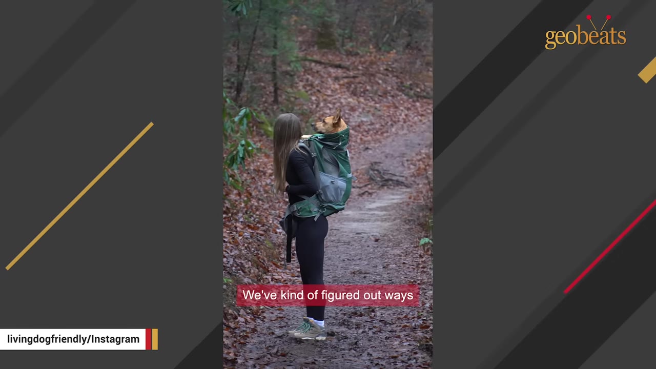 A woman stands on a wooded trail carrying a tan dog in a green backpack carrier.