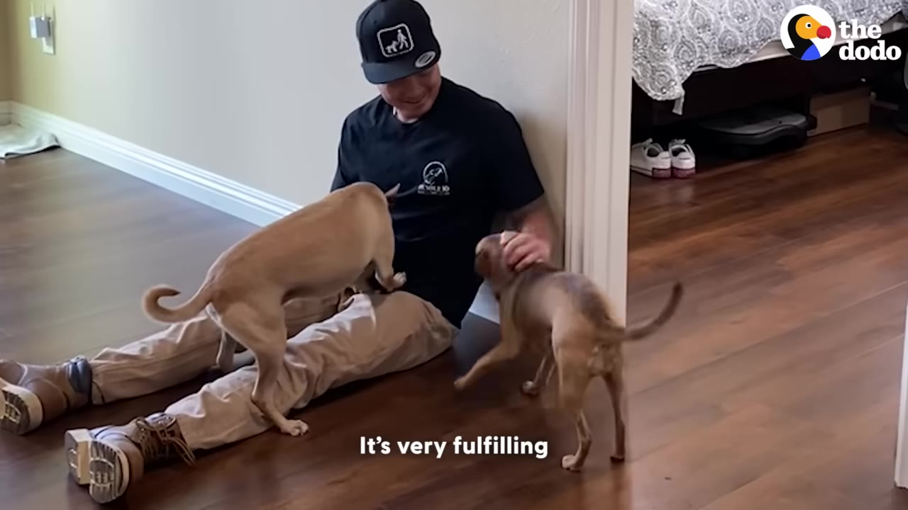 A man wearing a black t-shirt and baseball cap sits on a wooden floor, smiling as two light brown dogs enthusiastically greet him.