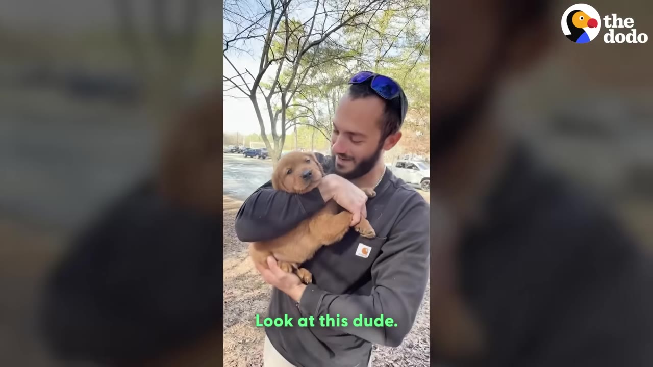 A man in a black long-sleeve shirt holds a golden puppy in his arms outdoors.