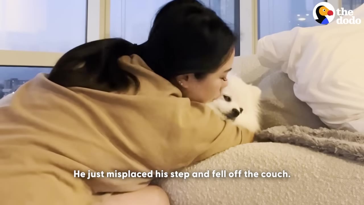 A woman in a tan sweater gently hugs and kisses a small, fluffy white Pomeranian dog on a couch.