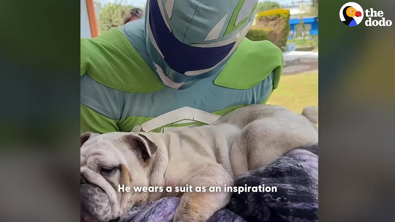 A person in a green and blue superhero costume cradles a sleeping white bulldog.