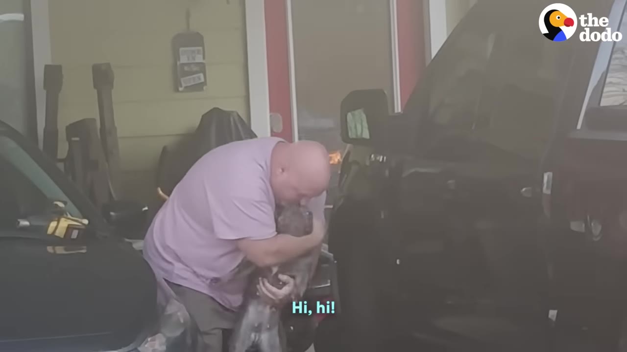 A man in a pink shirt bends down to hug a small grey dog in a driveway between two vehicles.