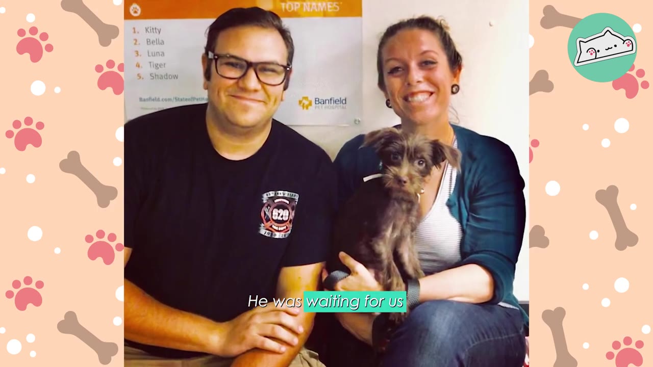 A smiling man and woman sitting together, with the woman holding a small brown scruffy dog in her lap.