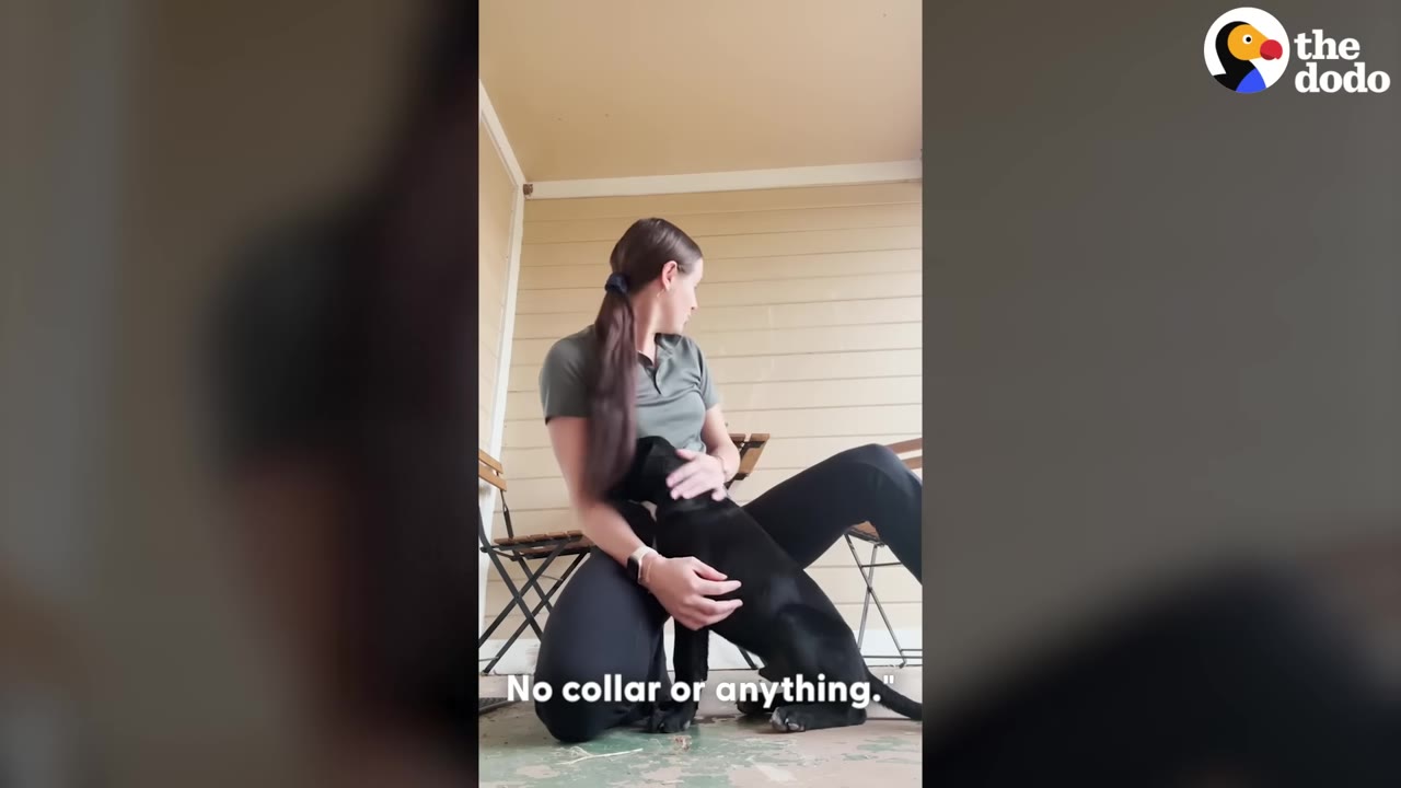 A woman kneels on a porch, petting a small black puppy that has no collar.