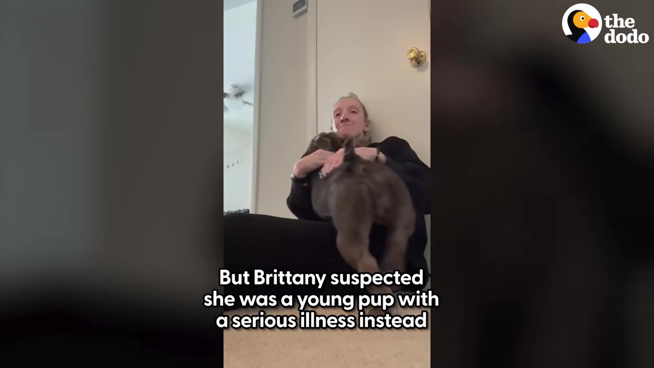 A woman named Brittany sits on the floor of her home, holding and comforting a grey bulldog puppy.