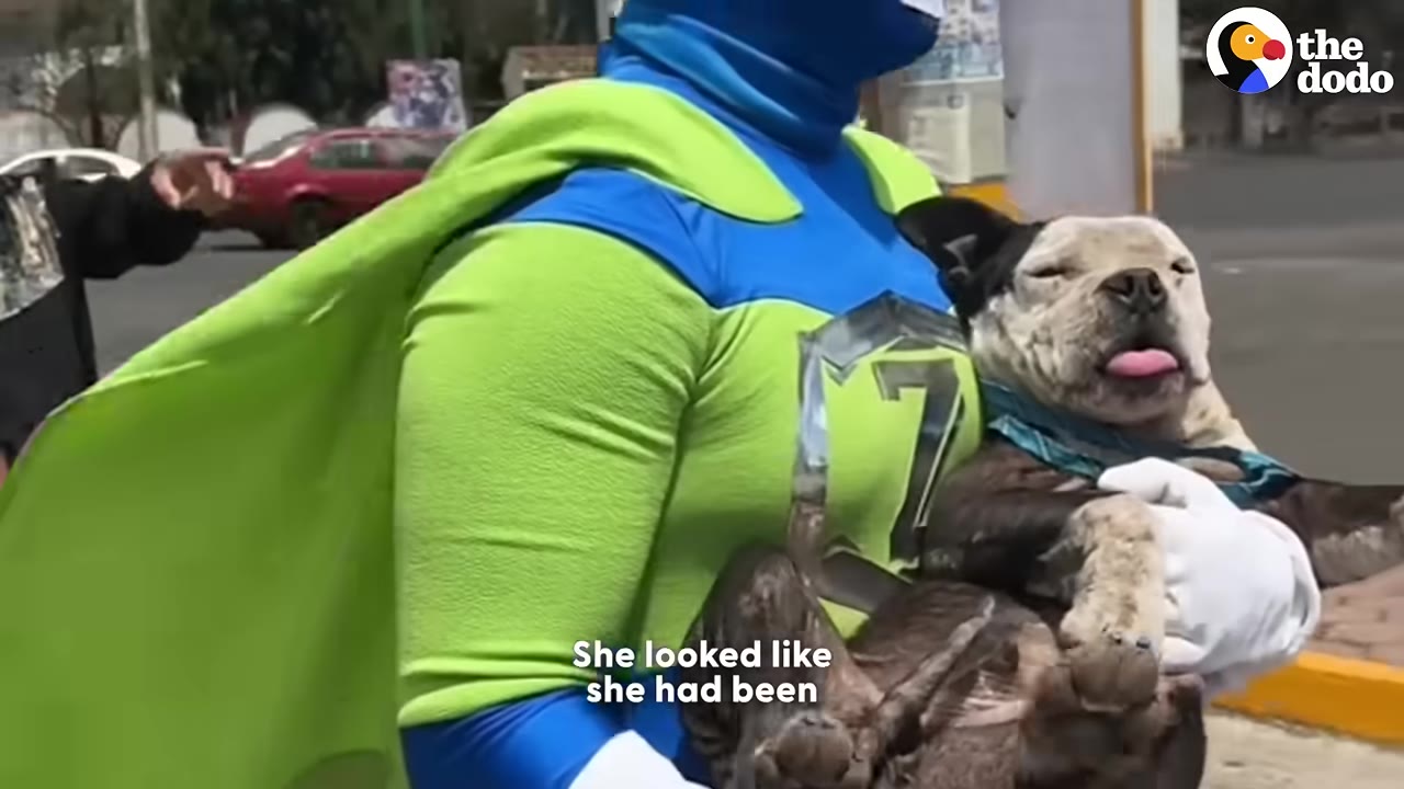 A person dressed in a green and blue superhero costume with a cape holds a black and white dog in their arms.