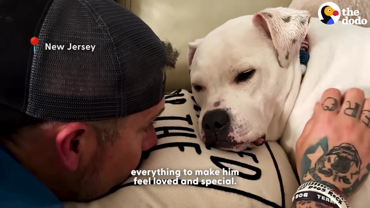 A close-up shot of a man wearing a black cap gently resting his head near a white dog lying on a pillow, with his tattooed hand gently petting the dog.