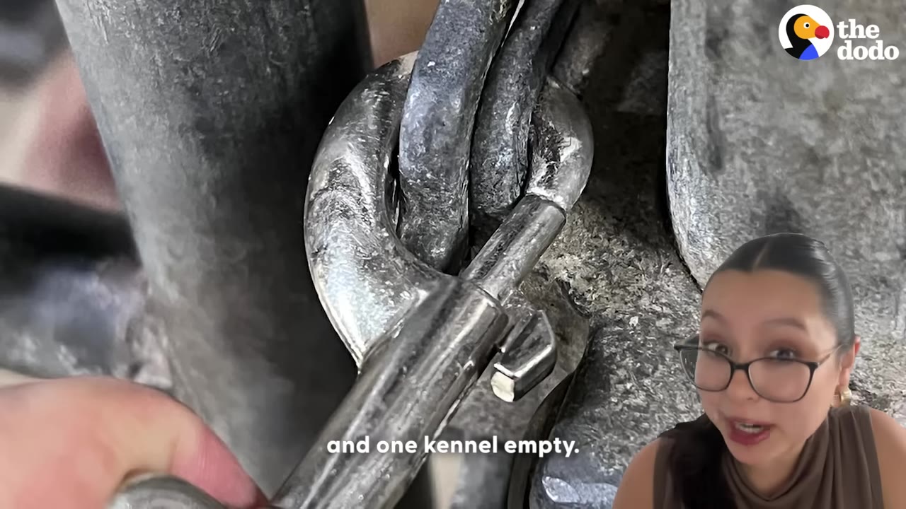 A close-up shot of a metal snap hook latch on a kennel gate, with a woman speaking in a picture-in-picture window in the bottom right corner.
