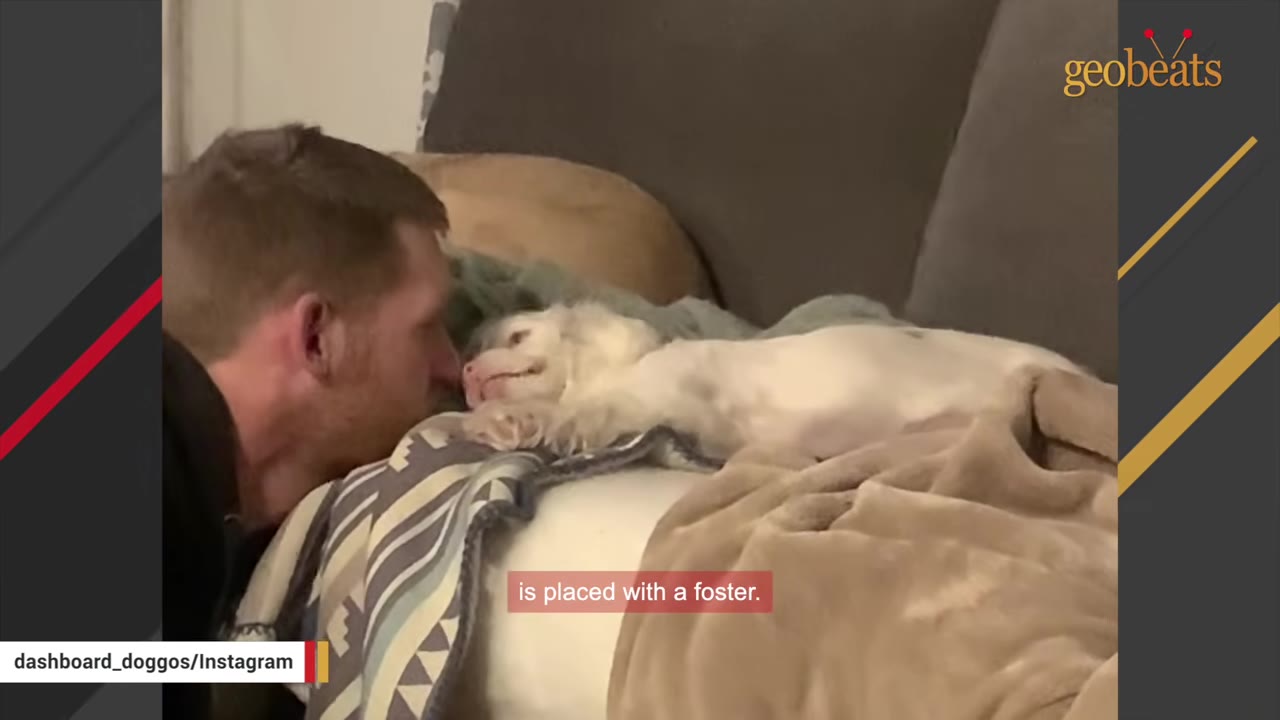A man leans in close to a small white dog lying on a couch under blankets, showing a moment of connection.