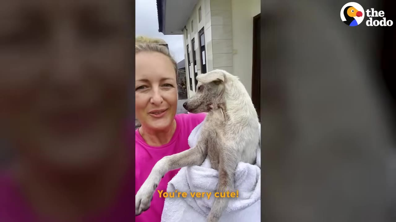 A smiling woman in a pink shirt holds a light-colored dog wrapped in a white towel.