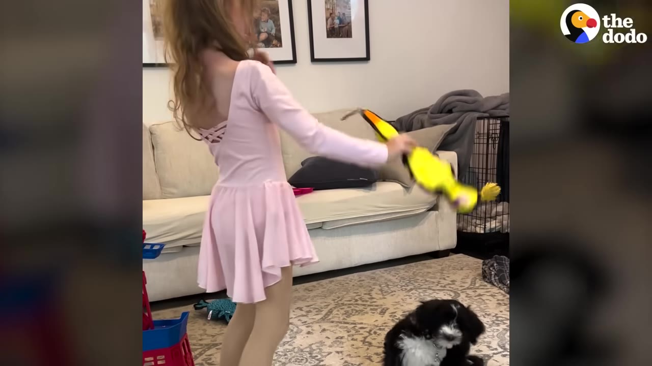 A young girl in a pink ballet dress waves a yellow toy while a small black and white puppy sits on the rug watching her.