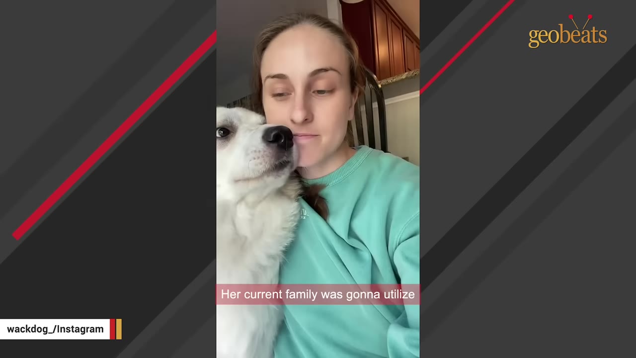 A woman in a casual teal sweatshirt sits at home with a fluffy white dog leaning against her face.