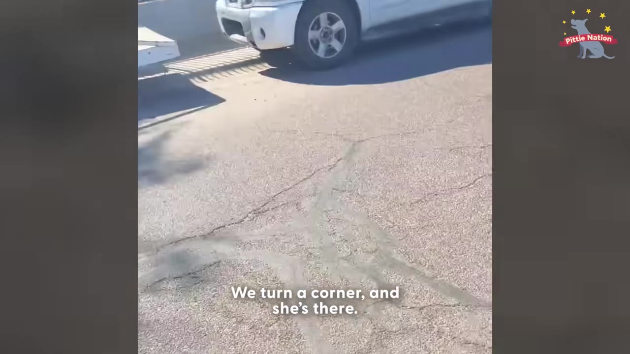 A close-up view of a white vehicle parked on an asphalt street with the text 'We turn a corner, and she's there.' overlaid.