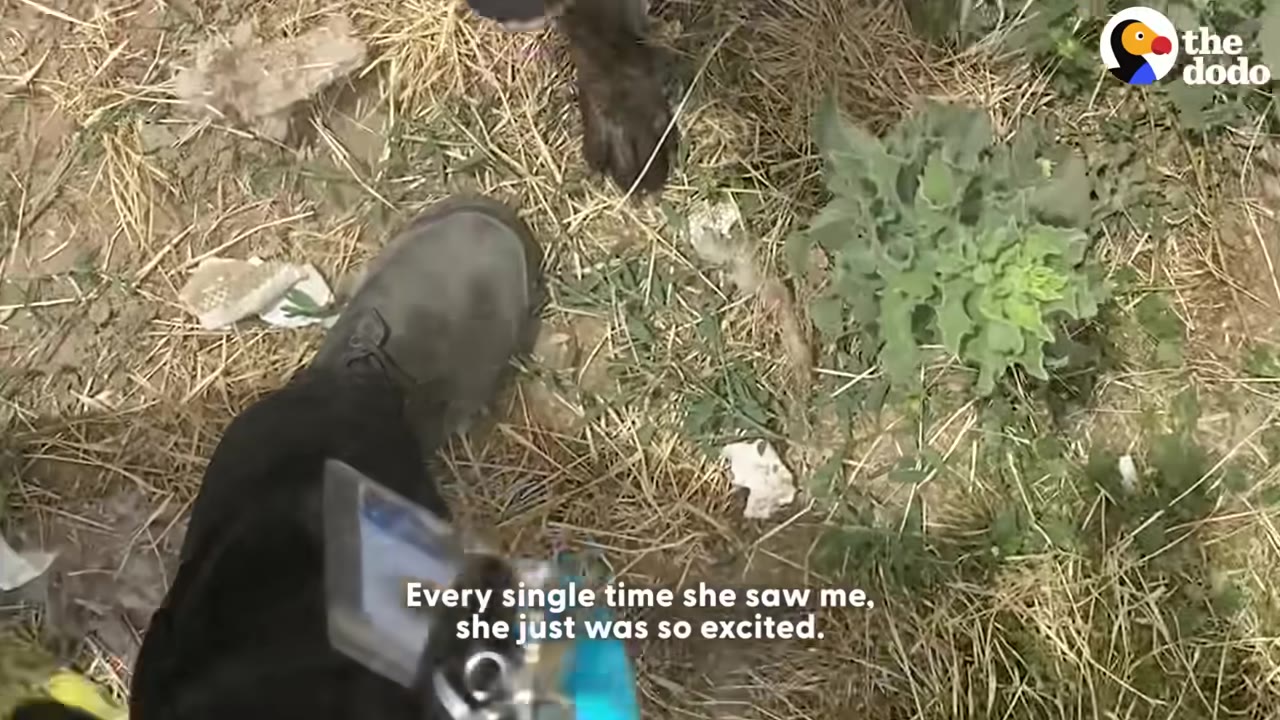 A first-person perspective looking down at a person's black boot on dry grass and dirt, with a dog's dark paw visible nearby.